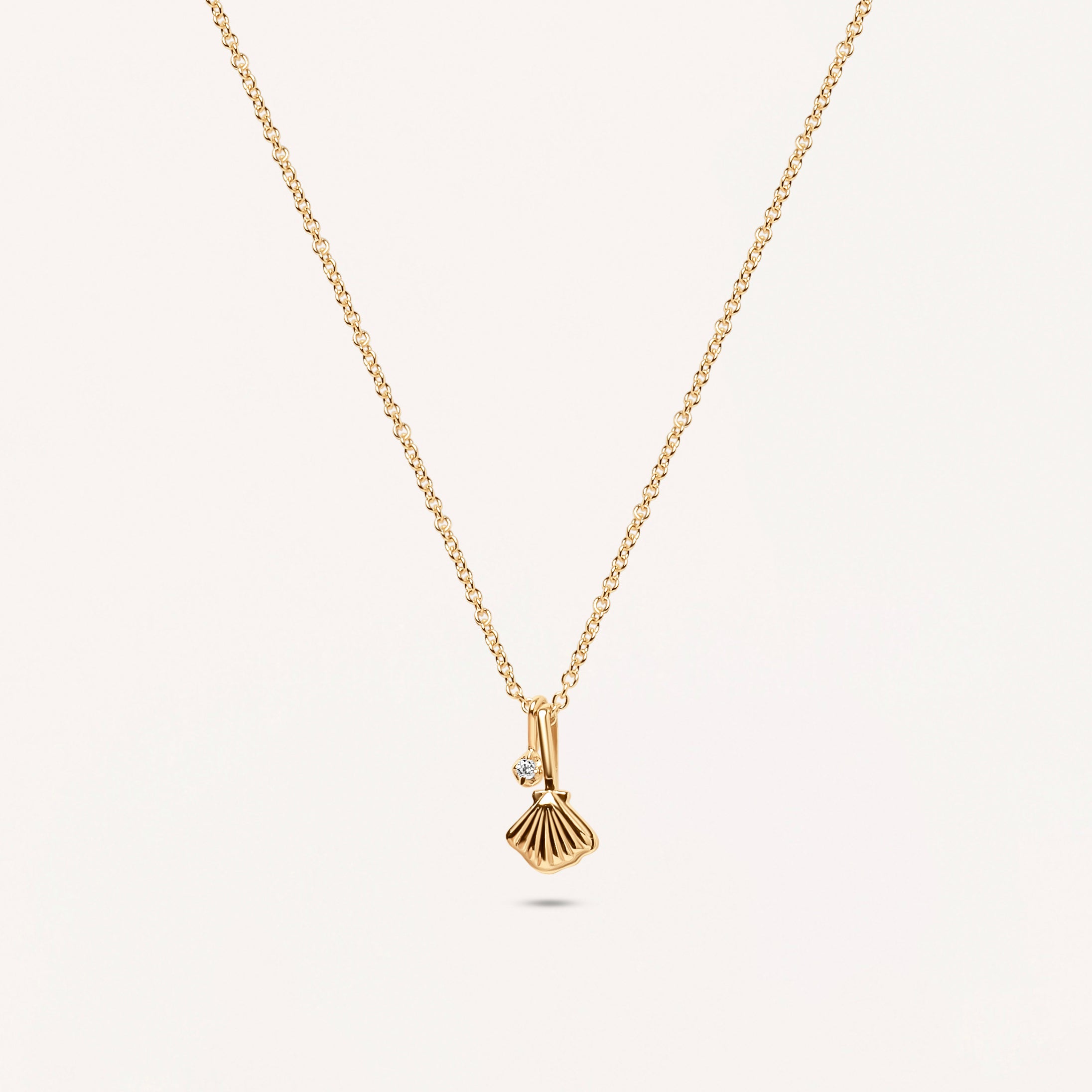 Coral Cove Shell Necklace