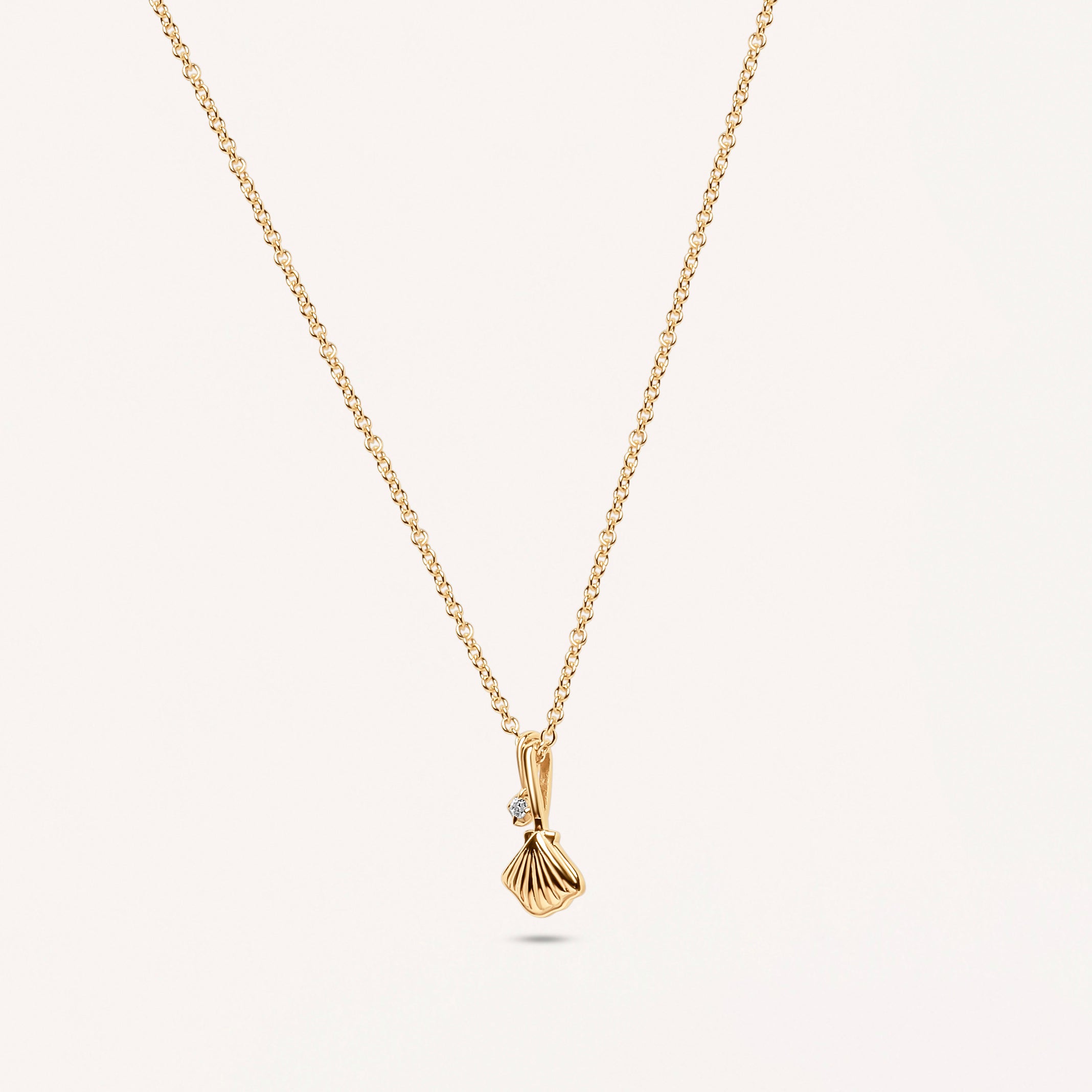 Coral Cove Shell Necklace