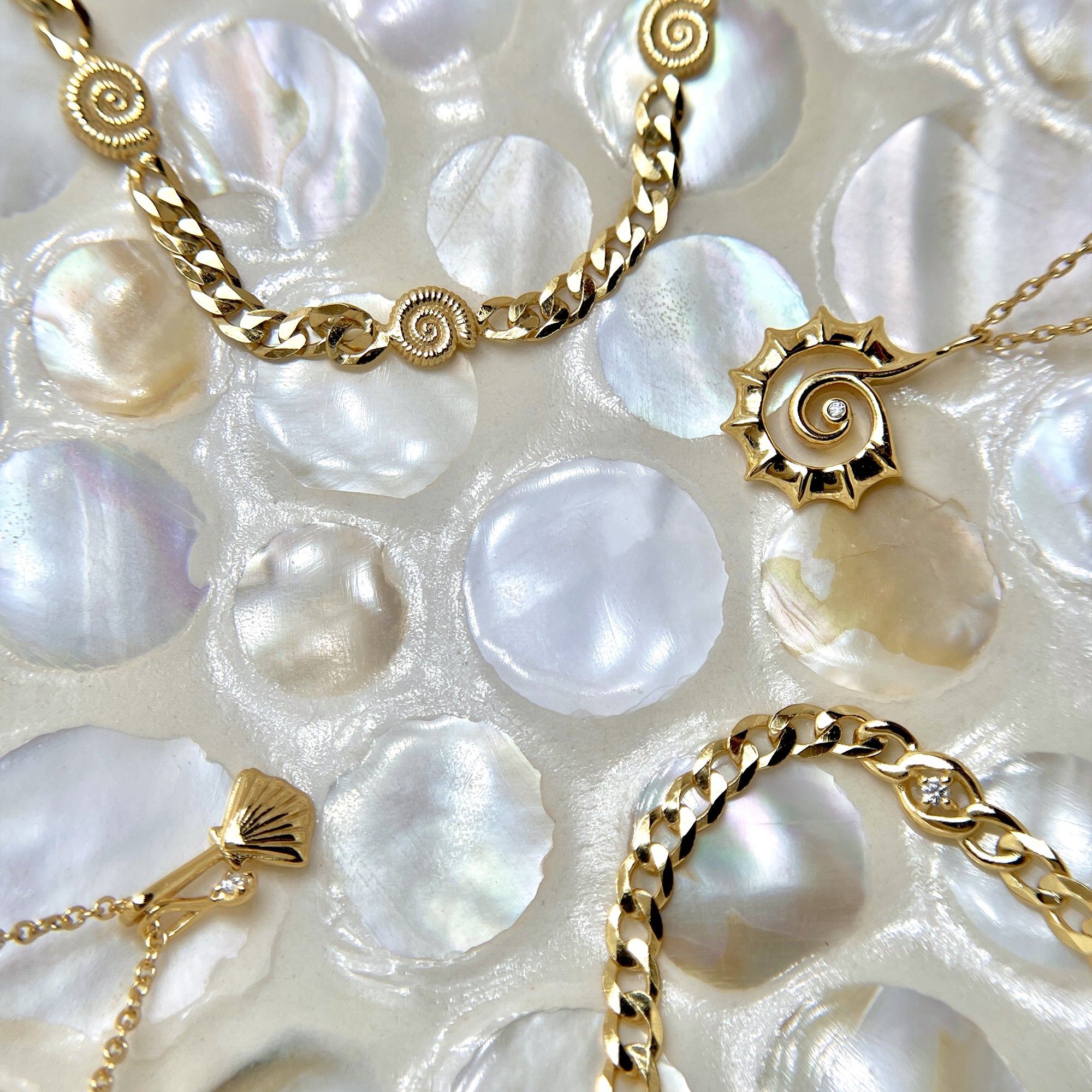 Coral Cove Shell Necklace